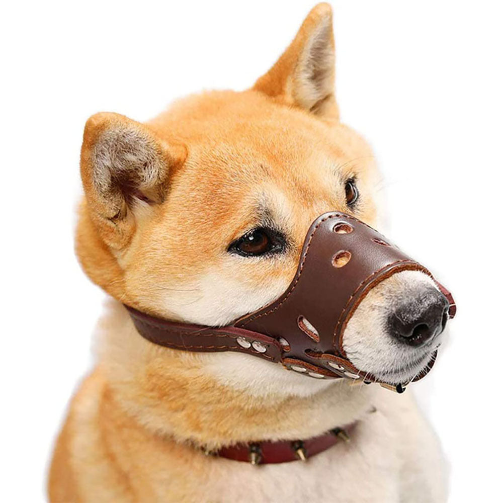 Moule en cuir pour chien, museau anti-aboiement sécurisé et confortable pour petits chiens moyens grands, respirant et ajustable, permet de boire et de pantaner, utilisé avec des colliers